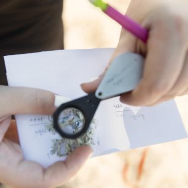 A close up of a student's hands holding a paper and microscope looking at a small sample of a tree branch