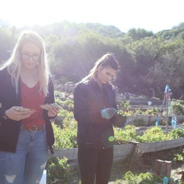 two female presenting students looking at pickings from the legacy garden