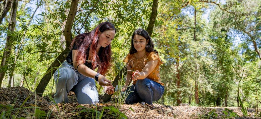 Two students on a path surrounded by trees are looking at a patch of tall grass 