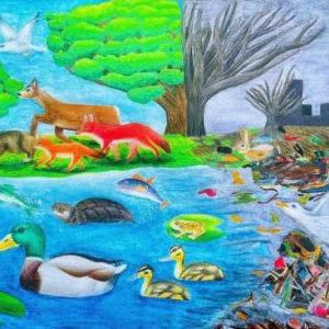 ROW Art Winner 2022 ; Yu, Chenxi, Grade 8 - Lost Wilds