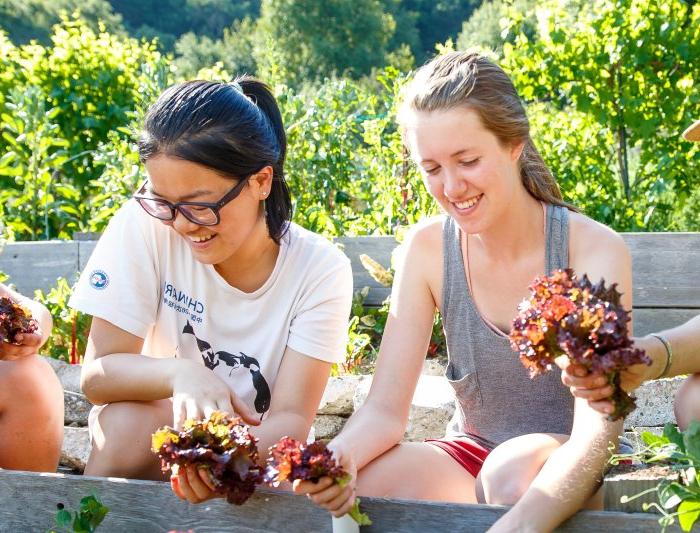 Saint Mary's College 经济学学位 Students in the Legacy Garden