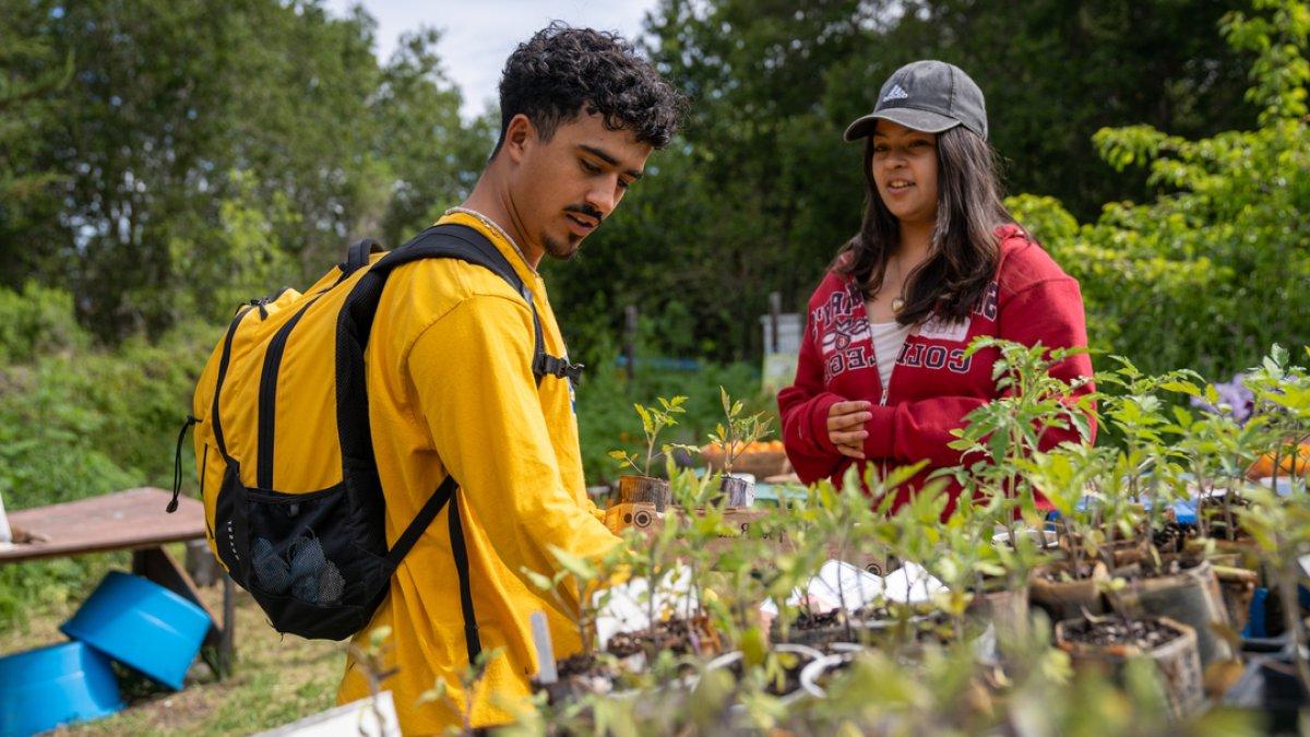 male and female student looking at the produce in the legacy garden