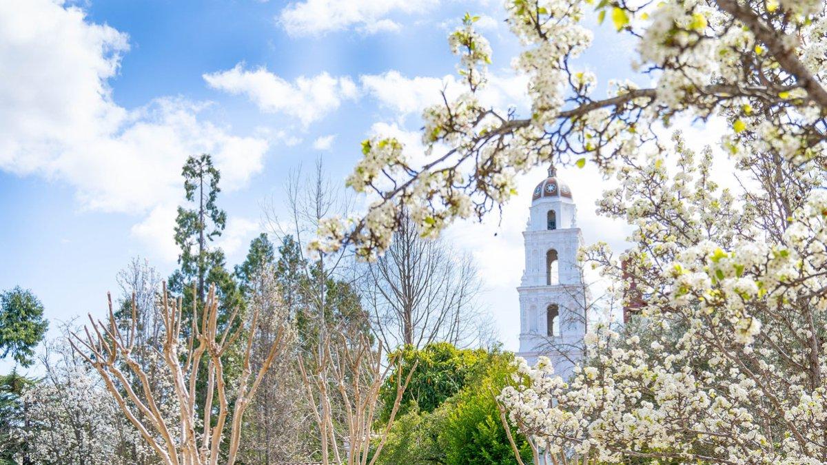 Saint Mary's College Campus in the Spring